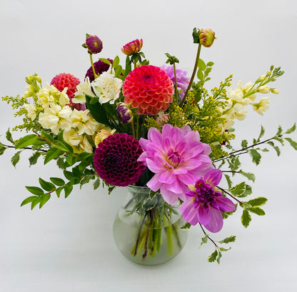 Dahlia Dance