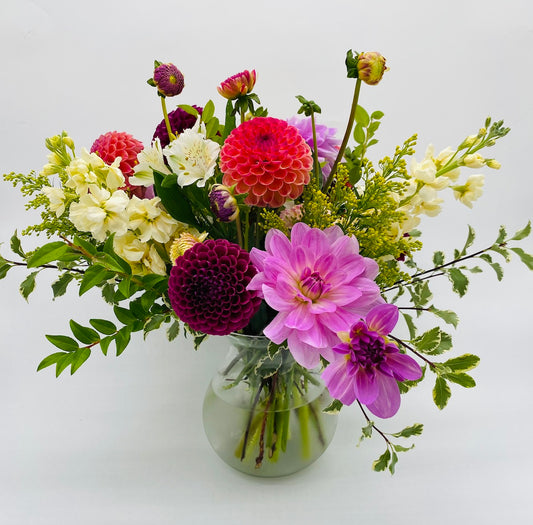 Dahlia Dance