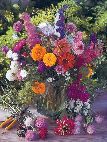 Butterfly Pollinator Flower Mix Seed Packets