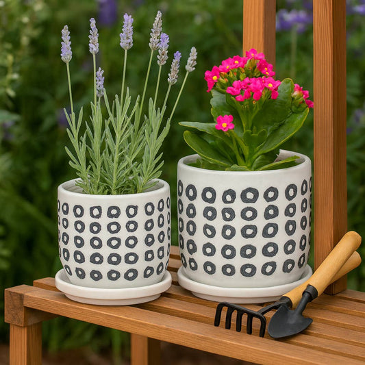 Black Ceramic Aztec Planters Two Sizes 5"/6".