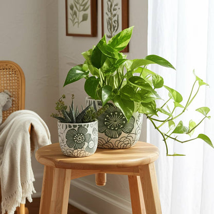 White & Green Ceramic Carved Floral Planters Two Sizes, 6"/8"