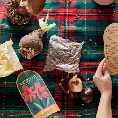 Winter Bulb Kit