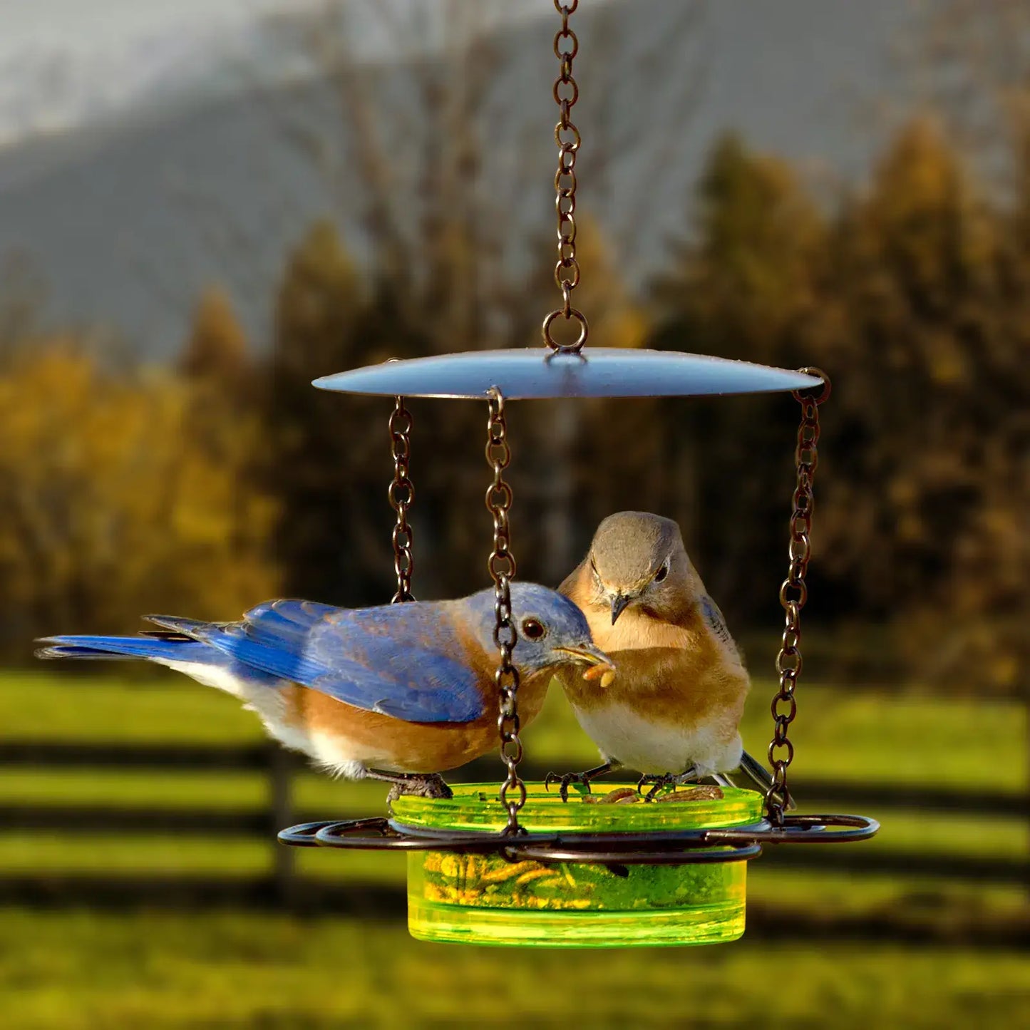 Mosaic Birds Floral Bird Feeder Lime