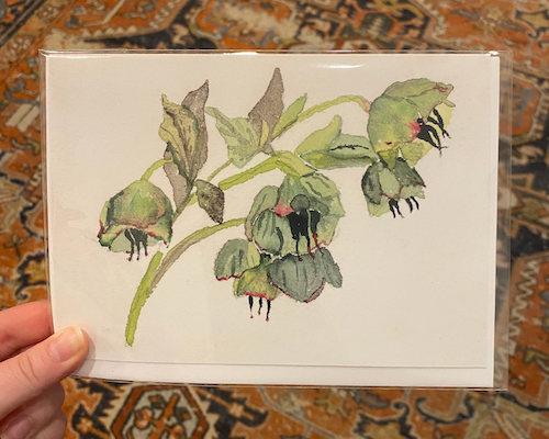 Jan Bowen Watercolor 5x7 Cards