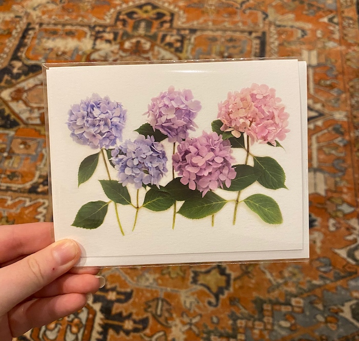 Hydrangea Endless Summer 4x6 Card